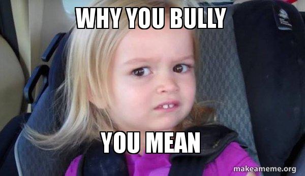 Why you bully?